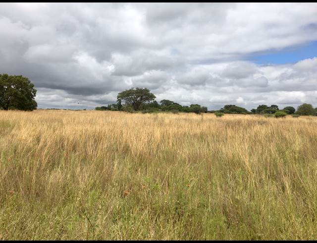 8HA FARM FOR SALE IN DEBRON